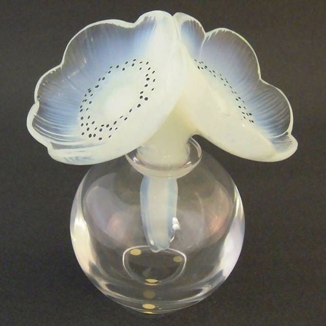 The Meaning: The History of Forvil