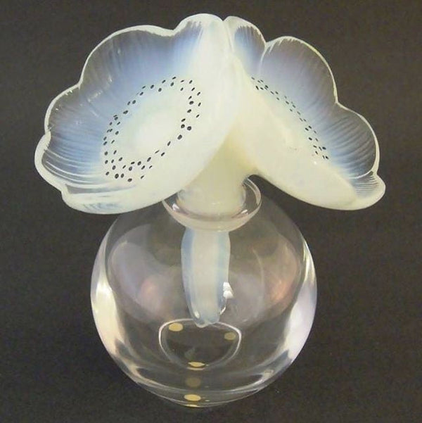 The Meaning: The History of Forvil